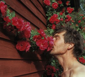 Renja Leino - Ihana mies ruusuissa