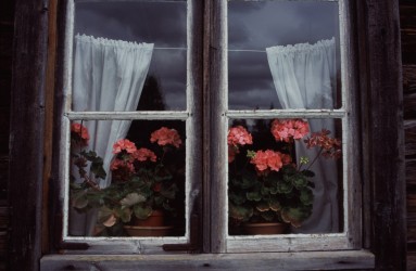 Erkki Perkiömäki - Ikkuna