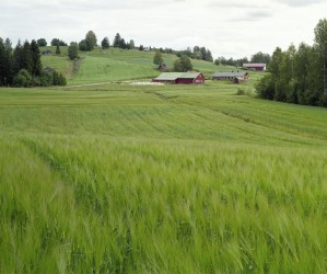 Tapio Heikkilä - Pohjois-Karjalan vaarakylät, Kirvesvaara